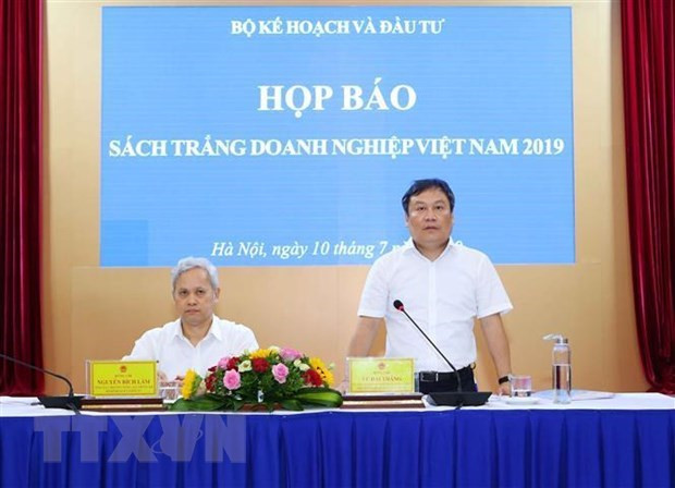 Publican Libro Blanco sobre Empresas de Vietnam 2019 ảnh 1