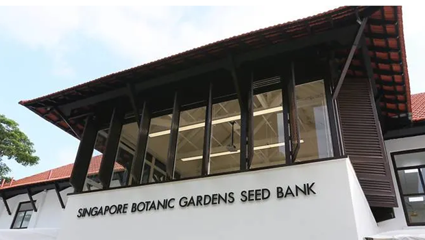 Singapur inaugura su primer banco de semillas ảnh 1 Singapur inaugura su primer banco de semillas ảnh 1