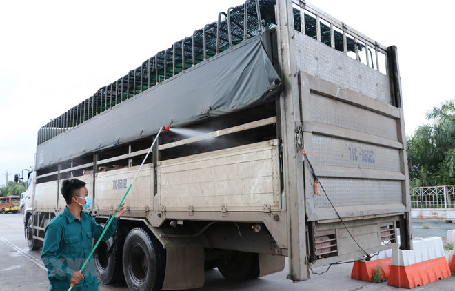 Vietnam y Camboya coordinan en la prevención contra la peste porcina africana ảnh 1