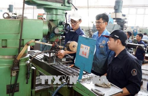 Registra mercado laboral de Vietnam cifras positivas en primera mitad de 2019 ảnh 1 Registra mercado laboral de Vietnam cifras positivas en primera mitad de 2019 ảnh 1