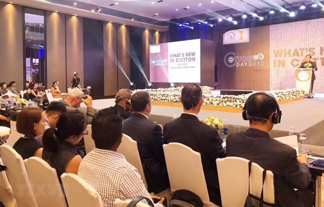 Vietnam, importante mercado de sector algodonero de Estados Unidos ảnh 1