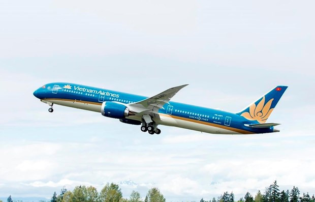 Lanza Vietnam Airlines ventas de boletos promocionales para vacaciones del Año Nuevo Lunar ảnh 1 Lanza Vietnam Airlines ventas de boletos promocionales para vacaciones del Año Nuevo Lunar ảnh 1