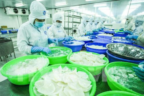 Aumentan exportaciones de Vietnam al mercado checo ảnh 1