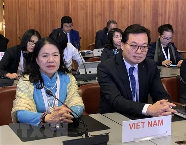 Participa Vietnam en Conferencia Internacional de la Cruz Roja y la Media Luna Roja ảnh 1 Participa Vietnam en Conferencia Internacional de la Cruz Roja y la Media Luna Roja ảnh 1