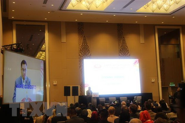 Reafirma Vietnam respaldo a los objetivos planeados para Año del APEC 2020 ảnh 1 Reafirma Vietnam respaldo a los objetivos planeados para Año del APEC 2020 ảnh 1