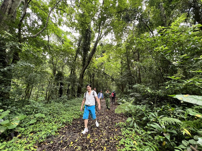 Destinos turísticos atractivos de Vietnam conceden viajes emocionantes ảnh 2 Destinos turísticos atractivos de Vietnam conceden viajes emocionantes ảnh 2