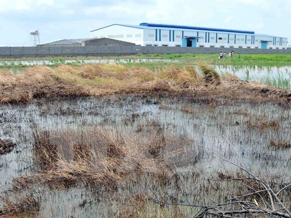 Vietnam y Alemania cooperan en eliminación de metales pesados en suelos ảnh 1