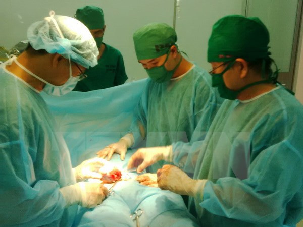 Celebran en Vietnam sexta conferencia sobre sistema respiratorio ảnh 1 Celebran en Vietnam sexta conferencia sobre sistema respiratorio ảnh 1