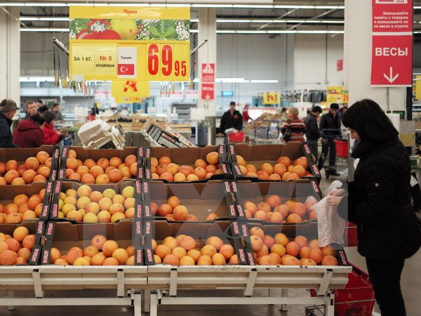 Exportaciones de verduras y frutas de Vietnam aumentan fuerte ảnh 1