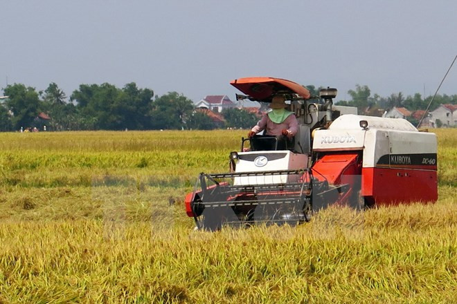 TPP, palanca económica para desarrollo agrícola ảnh 1 TPP, palanca económica para desarrollo agrícola ảnh 1