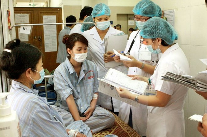 Urgen a Ciudad Ho Chi Minh acelerar medidas contra dengue ảnh 1