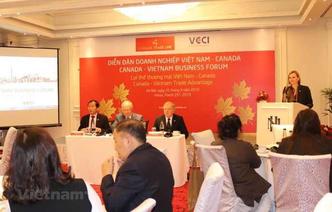 Busca ciudad vietnamita de Da Nang atraer más inversiones de Canadá ảnh 1 Busca ciudad vietnamita de Da Nang atraer más inversiones de Canadá ảnh 1