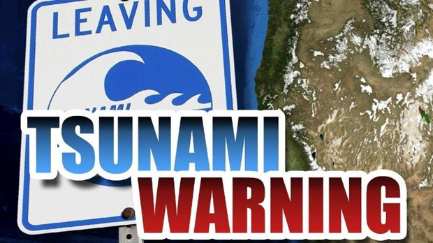 Emiten alerta de tsunami en seis provincias sureñas de Tailandia ảnh 1 Emiten alerta de tsunami en seis provincias sureñas de Tailandia ảnh 1
