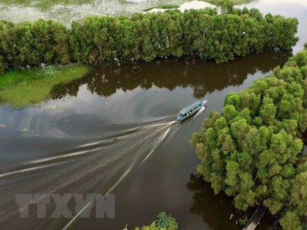 Promueven en Vietnam el turismo verde ảnh 1 Promueven en Vietnam el turismo verde ảnh 1