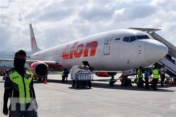 Presentará Indonesia en agosto próximo informe final sobre accidente del avión de Lion Air ảnh 1