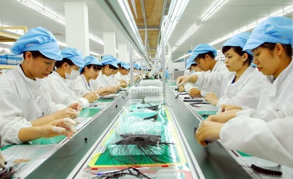 Laos adquiere experiencias de Vietnam en desarrollo de economía cooperativa ảnh 1