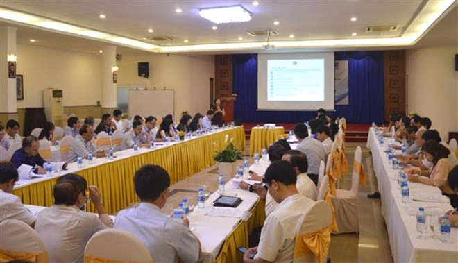 Proyecta Vietnam eliminar transmisión de VIH, hepatitis B y sífilis de madre a hijo en 2030 ảnh 1