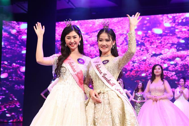 Eligen en Vietnam a Embajadoras de Buena Voluntad de la Flor de Sakura ảnh 1 Eligen en Vietnam a Embajadoras de Buena Voluntad de la Flor de Sakura ảnh 1