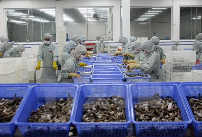 Higiene alimentaria, clave para exportaciones vietnamitas a Australia ảnh 1 Higiene alimentaria, clave para exportaciones vietnamitas a Australia ảnh 1
