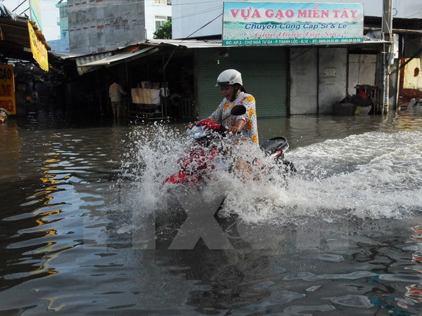 Impulsará Ciudad Ho Chi Minh proyectos contra erosión fluvial ảnh 1 Impulsará Ciudad Ho Chi Minh proyectos contra erosión fluvial ảnh 1