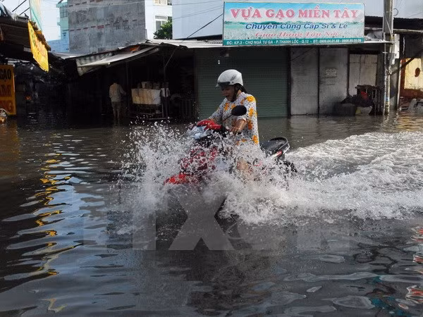 Impulsará Ciudad Ho Chi Minh proyectos contra erosión fluvial ảnh 1