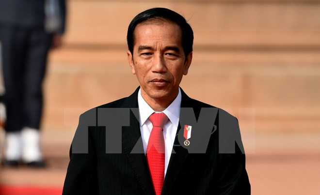 Indonesia y Australia podrán realizar patrullaje conjunto en Mar del Este ảnh 1