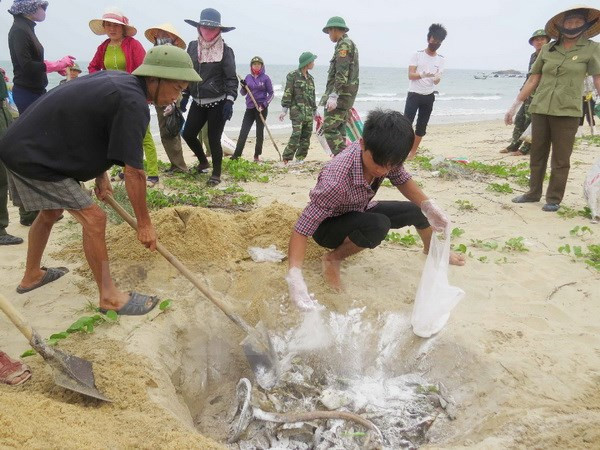 Revisan préstamos por impacto de incidente ambiental en provincias costeras de Vietnam ảnh 1 Revisan préstamos por impacto de incidente ambiental en provincias costeras de Vietnam ảnh 1