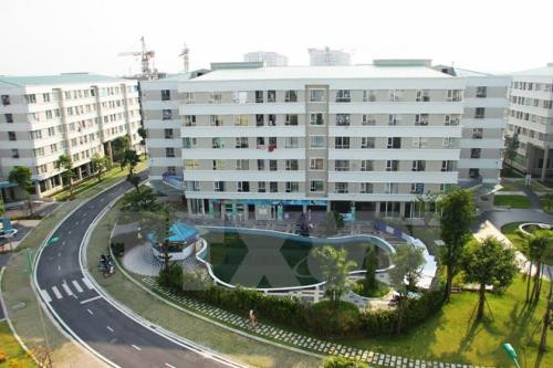 Hanoi espera colaborar con Irlanda en educación y construcción urbana ảnh 1