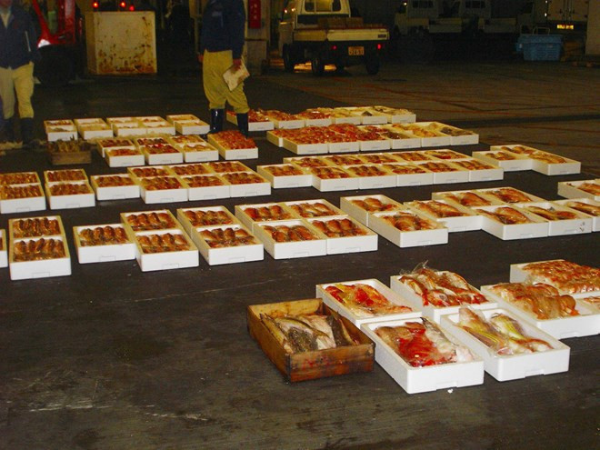 Exportadores japoneses de productos acuícolas muestran interés en Vietnam ảnh 1 Exportadores japoneses de productos acuícolas muestran interés en Vietnam ảnh 1