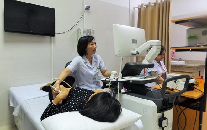 Exploran empresas de Alemania oportunidades de inversión en Vietnam ảnh 1 Exploran empresas de Alemania oportunidades de inversión en Vietnam ảnh 1