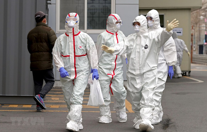 Mantienen vietnamitas actividades laborales en Japón y Corea del Sur pese a COVID-19 ảnh 1