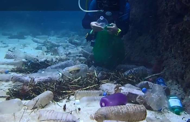 Promueve Vietnam investigación sobre ecosistemas marinos ảnh 1 Promueve Vietnam investigación sobre ecosistemas marinos ảnh 1