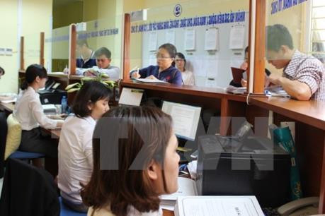 Simplifica agricultura vietnamita trámites administrativos ảnh 1 Simplifica agricultura vietnamita trámites administrativos ảnh 1