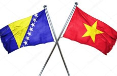 Felicita Vietnam a Bosnia y Herzegovina por Día de la Independencia ảnh 1 Felicita Vietnam a Bosnia y Herzegovina por Día de la Independencia ảnh 1