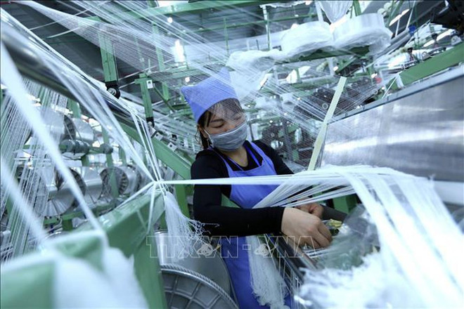 Vietnam por promover la sericicultura hacia desarrollo sostenible ảnh 1