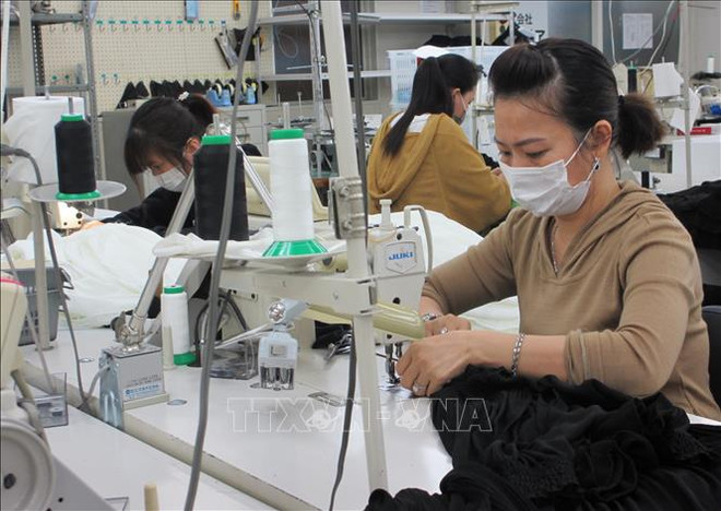 Trabajadores vietnamitas en Japón reciben protección ante epidemia de COVID-19 ảnh 1 Trabajadores vietnamitas en Japón reciben protección ante epidemia de COVID-19 ảnh 1