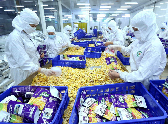 Disminuyen exportaciones vietnamitas de productos agrícolas, forestales y pesquero ảnh 1 Disminuyen exportaciones vietnamitas de productos agrícolas, forestales y pesquero ảnh 1
