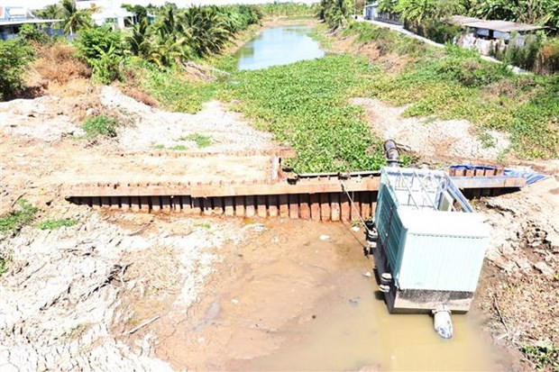 Delta del Mekong en Vietnam por contrarrestar efectos de sequía y salinización ảnh 1 Delta del Mekong en Vietnam por contrarrestar efectos de sequía y salinización ảnh 1
