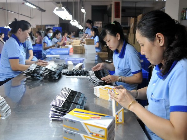 Provincia vietnamita de An Giang promueve medidas para crear empleos ảnh 1 Provincia vietnamita de An Giang promueve medidas para crear empleos ảnh 1