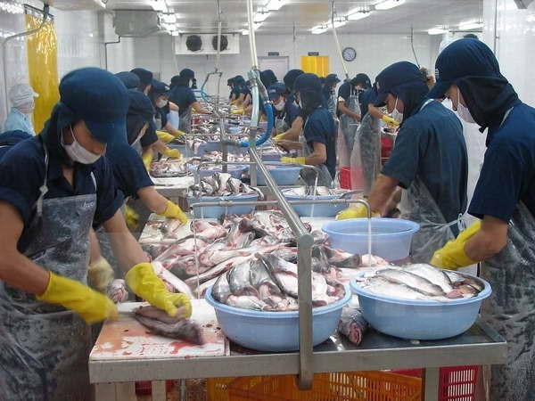 Empresas belgas amplían la inversión en Vietnam ảnh 1 Empresas belgas amplían la inversión en Vietnam ảnh 1