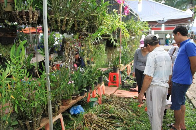 Festival de Agricultura presenta destacados productos sectoriales ảnh 5 Festival de Agricultura presenta destacados productos sectoriales ảnh 5