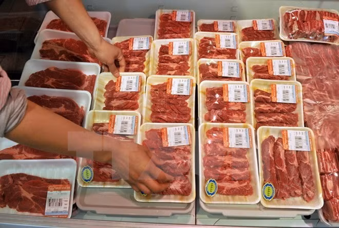 Prevé Brasil exportar carne de res a Malasia ảnh 1