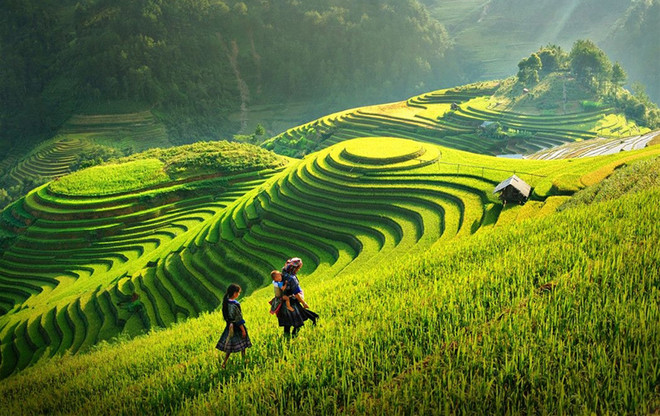 Vietnam aprueba estrategia nacional para el desarrollo de zonas montañosas y de minorías étnicas ảnh 1 Vietnam aprueba estrategia nacional para el desarrollo de zonas montañosas y de minorías étnicas ảnh 1