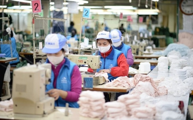 Intensifican protección de intereses de exportadores de Vietnam en mercado de UE ảnh 2 Intensifican protección de intereses de exportadores de Vietnam en mercado de UE ảnh 2