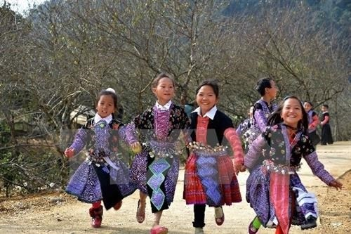Vietnam aprueba estrategia nacional para el desarrollo de zonas montañosas y de minorías étnicas ảnh 2 Vietnam aprueba estrategia nacional para el desarrollo de zonas montañosas y de minorías étnicas ảnh 2