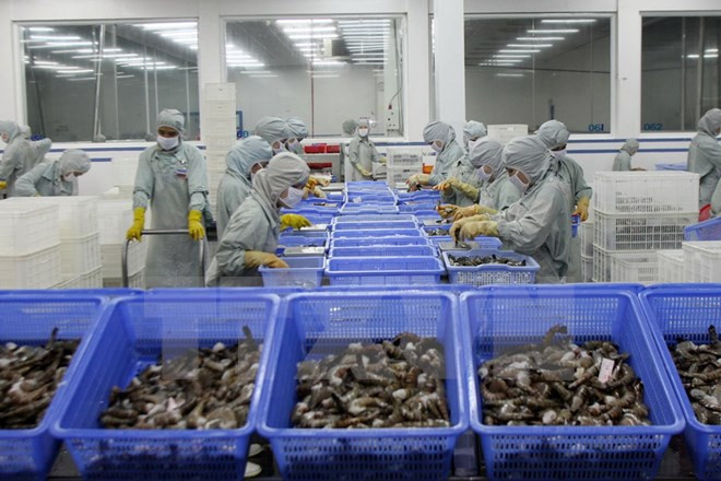 Presentan en Vietnam tratado de facilitación comercial de OMC ảnh 1