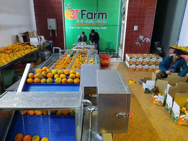 Promueven transformación digital en sector agrícola en Vietnam ảnh 2 Promueven transformación digital en sector agrícola en Vietnam ảnh 2