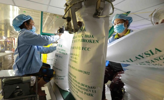 Aumentarán exportaciones de arroz vietnamita en 2023 ảnh 2 Aumentarán exportaciones de arroz vietnamita en 2023 ảnh 2