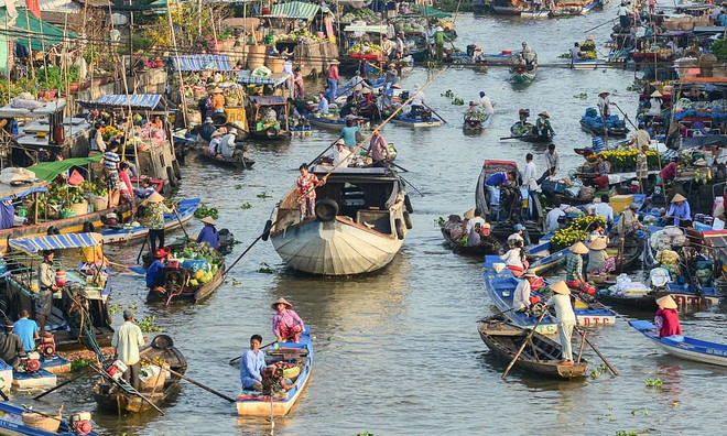 Promueven vinculación turística en Delta del Mekong de Vietnam ảnh 2