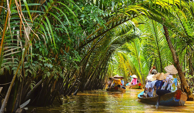Promueven vinculación turística en Delta del Mekong de Vietnam ảnh 1